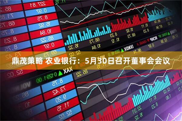 鼎茂策略 农业银行：5月30日召开董事会会议