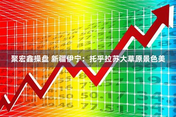 聚宏鑫操盘 新疆伊宁：托乎拉苏大草原景色美