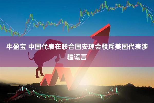 牛盈宝 中国代表在联合国安理会驳斥美国代表涉疆谎言