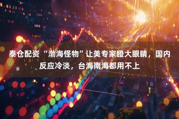 泰仓配资 “渤海怪物”让美专家瞪大眼睛，国内反应冷淡，台海南海都用不上