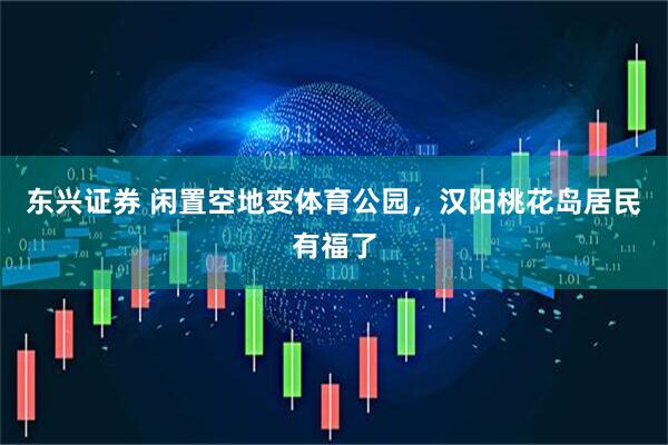 东兴证券 闲置空地变体育公园，汉阳桃花岛居民有福了