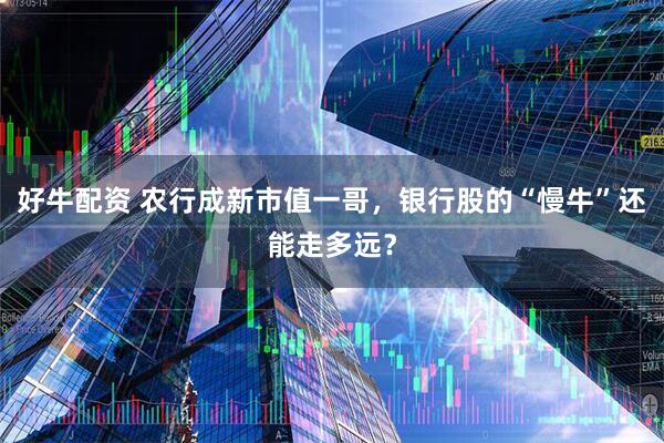 好牛配资 农行成新市值一哥，银行股的“慢牛”还能走多远？
