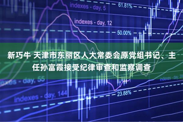 新巧牛 天津市东丽区人大常委会原党组书记、主任孙富霞接受纪律审查和监察调查