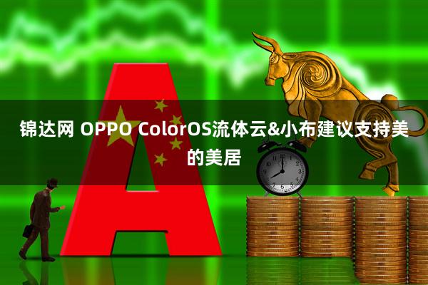 锦达网 OPPO ColorOS流体云&小布建议支持美的美居
