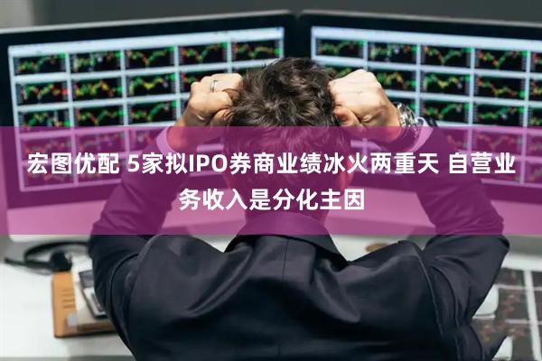 宏图优配 5家拟IPO券商业绩冰火两重天 自营业务收入是分化主因